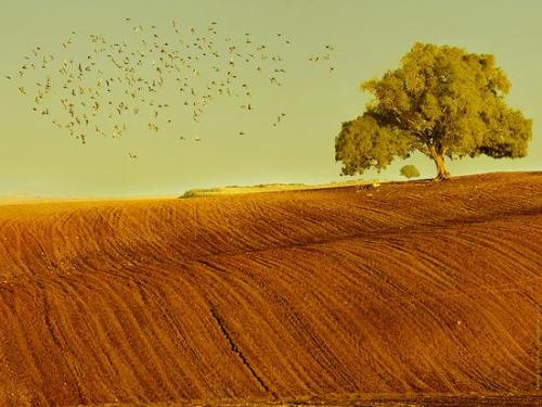 你一生中不关心的五件事