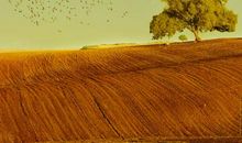 人生不必管的五件事