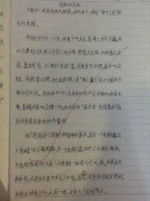 鲸鱼的自我报告写作50个字