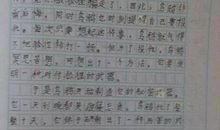 一张照片的故事作文500字