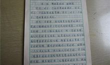 我眼中的什么作文