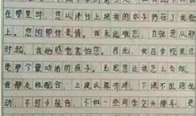 二年级手工制作作文