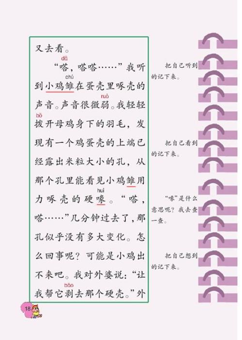 初中军事训练作文500字