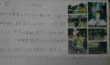 小学二年级观察日记