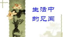 生活中的见闻