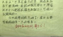 身边感人的故事作文