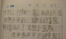 小学生作文找春天