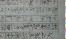 六年级作文我的一家