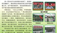 我的军训生活作文