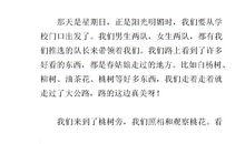 寻找春天作文500字