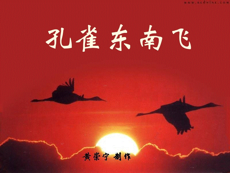 改写孔雀向东南飞