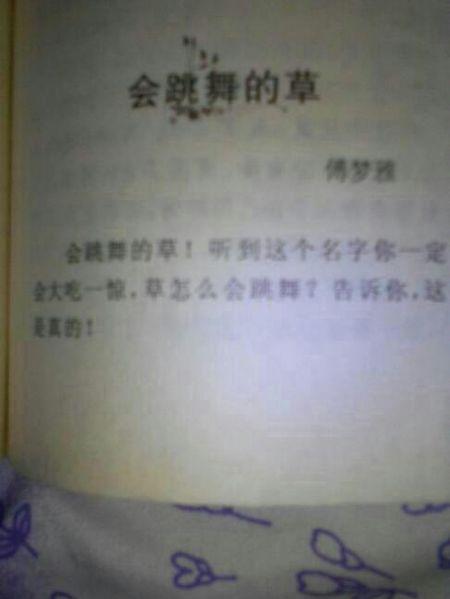 动植物观察日记