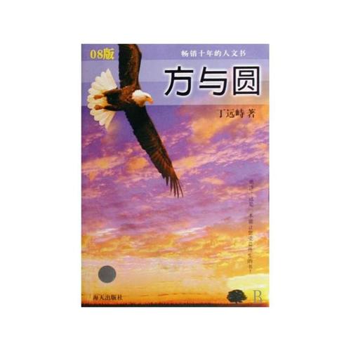 阅读关于正方形和圆形的章节之后