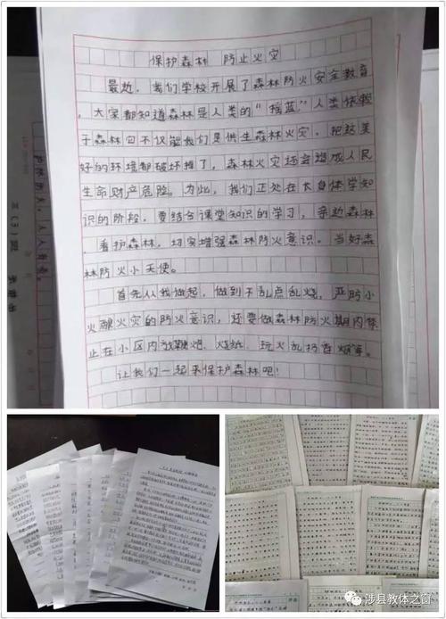 森林防火成分100字