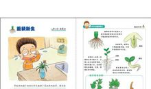 小学生观察植物日记