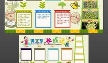 小学观察植物日记