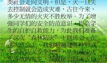 森林防火作文600字