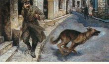 义犬复仇读后感