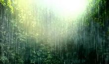 风雨中的美丽作文