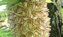 宽恕是一束温暖的阳光