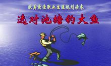 选对池塘钓大鱼读后感