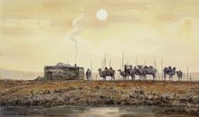 沉寂的雪原读后感