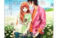 远方的矢车菊读后感