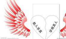 飞翔的翅膀作文