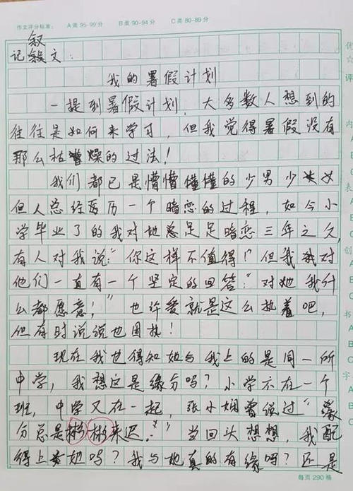 描述老师的作文