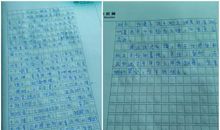 尊重大自然作文