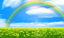 风雨过后是彩虹作文