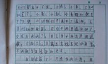 放飞小鸟的作文