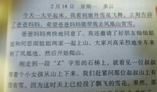 冬天的雪作文400字