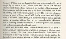 中长篇小说读后感