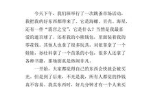 跳蚤市场作文400字