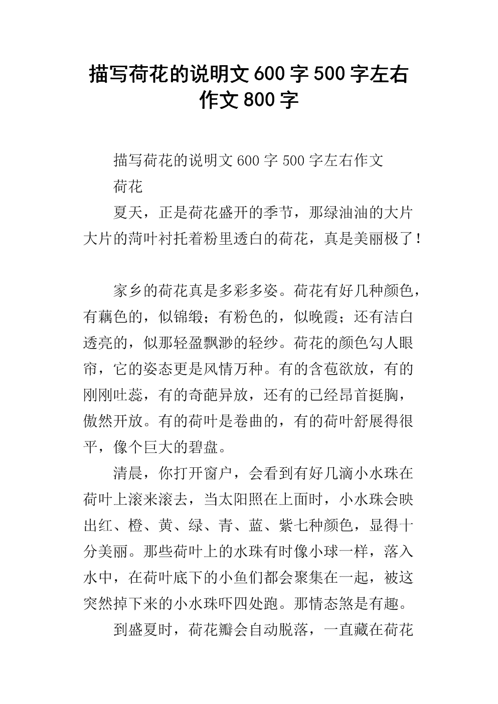 500字食品安全成分