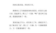 骑自行车作文500字