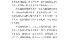 可爱的小狗作文400字