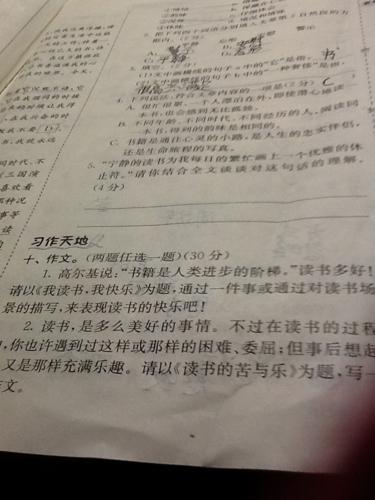 图中风雨构成800字