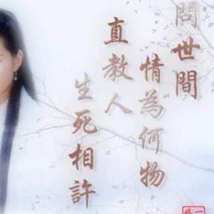 询问世界上的爱是什么，并教授生与死