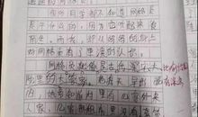 小学感动的作文