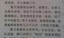 写夏天的作文300字