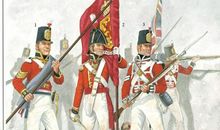 拿破仑救士兵读后感