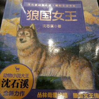 读狼王后的400个单词