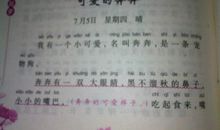 可爱的小狗日记