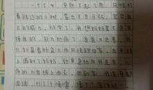 小学生感动的作文