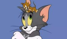 猫和老鼠读后感