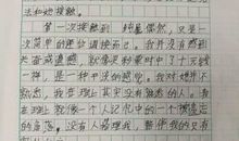 让别人感动的作文