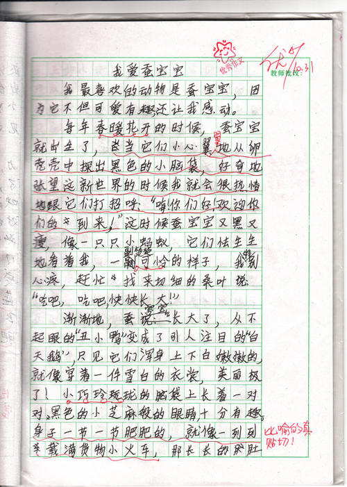 描述蚕宝宝的成分