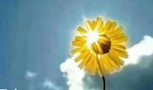 美好的一天日记